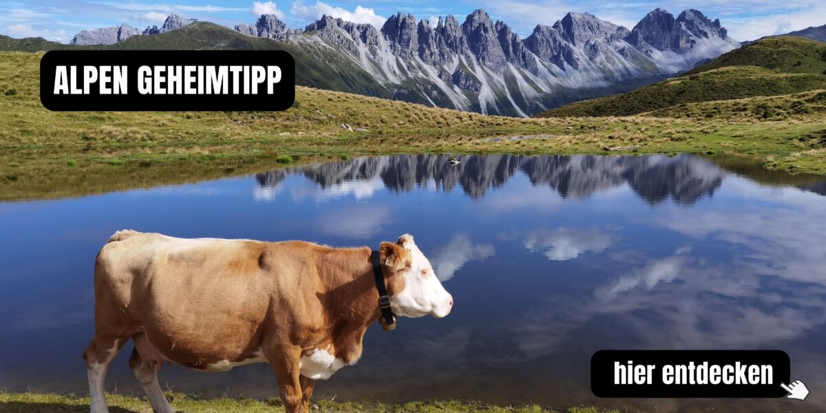 ÖSTERREICH OHNE STRAFE ⚡ Alle Informationen